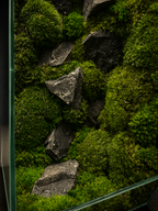 Emerald Forest Dome