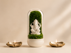 Ganesha’s Forest Dome