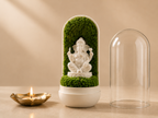 Ganesha’s Forest Dome