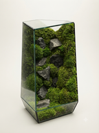 Emerald Forest Dome