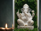 Ganesha’s Forest Dome